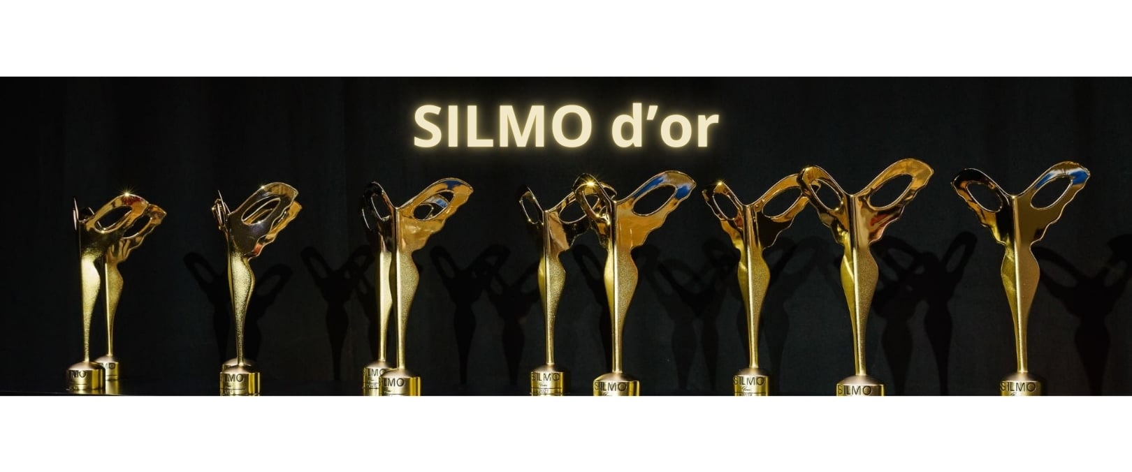 Silmo d'or trophee image